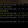 check_asterisk_ami_v2.sh